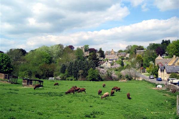 Village in Spring.jpg -                                